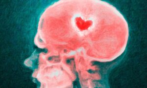 Banner del artículo: El cerebro enamorado: del corazón al cerebro
