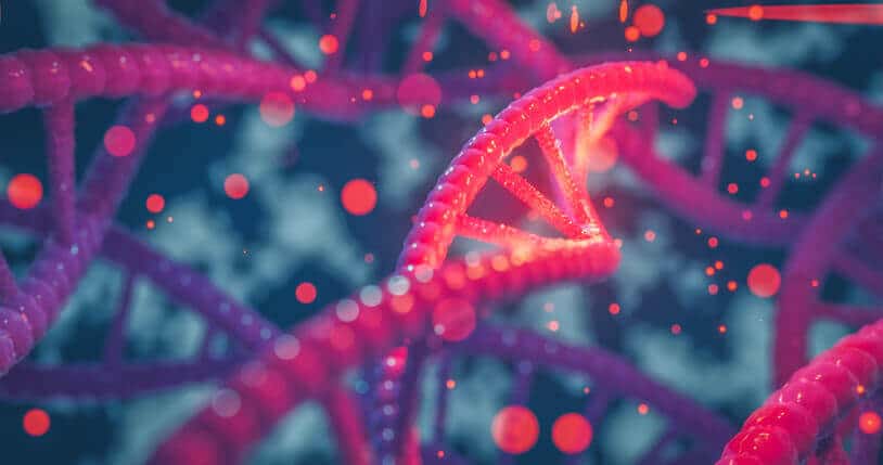 Epigenética: punto y coma en tus genes