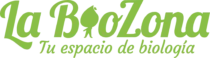 logo-green-light