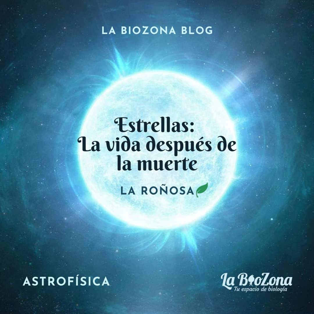 Estrellas: La vida después de la muerte - La BioZona Blog, image size:1080x1080