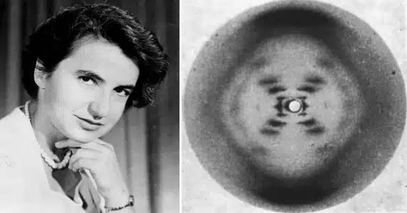 rosalind franklin adn fig1 1