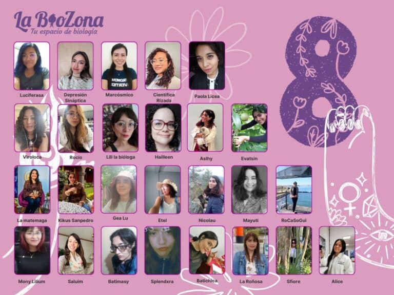 Banner del artículo: Día Internacional de la Mujer 2024