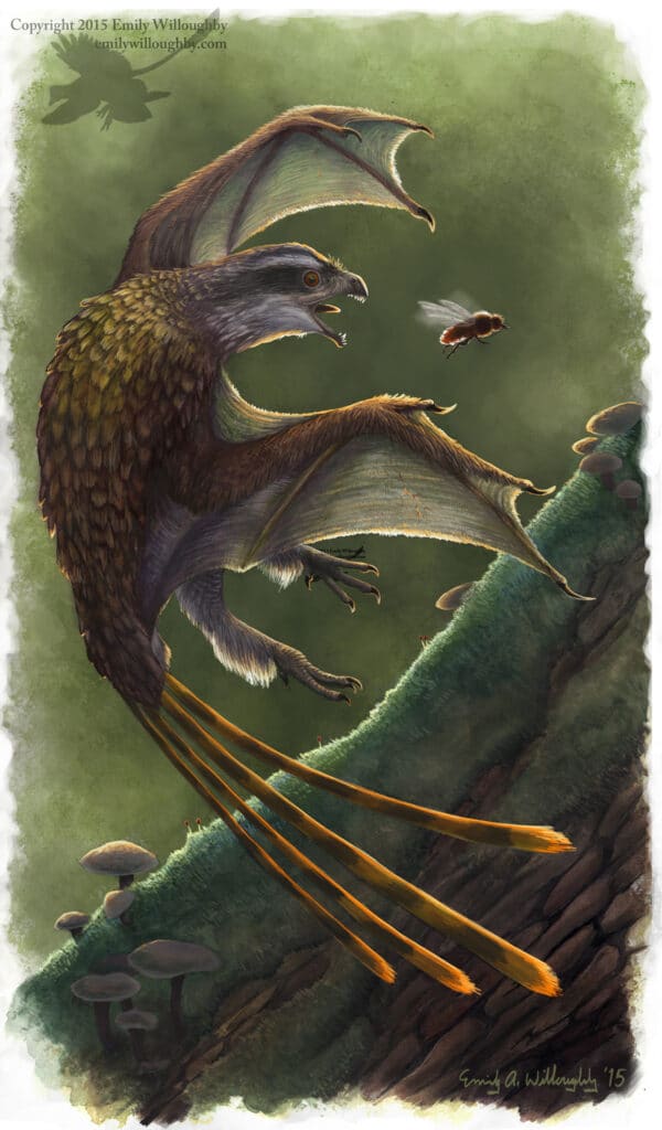 Fig 4. Scansoriopterígidos, los dinosaurios que parecían dragones