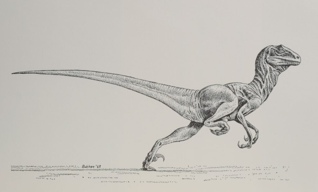 Fig 2. ¿Cómo emprendieron el vuelo los dinosaurios?