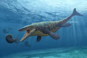 Banner del artículo: ¿Existieron los dinosaurios marinos?
