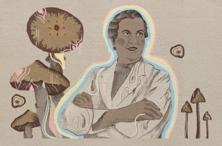Banner del artículo: Valentina Pavlovna: Cuando se omite a una estrella