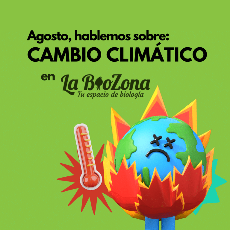 Meta del artículo: Agosto, hablemos sobre: Cambio Climático