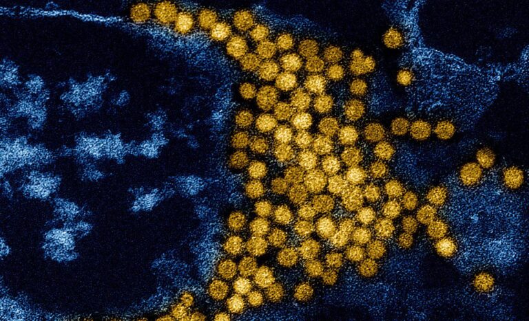 Banner del artículo: Viroma: El eslabón oculto del microbioma humano