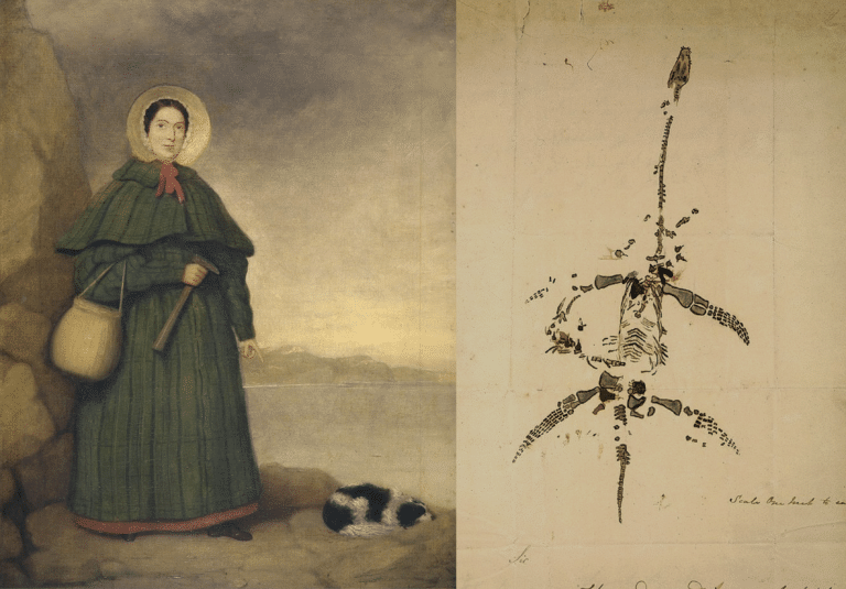 Banner de la entrada: Mary Anning, la reina de la paleontología